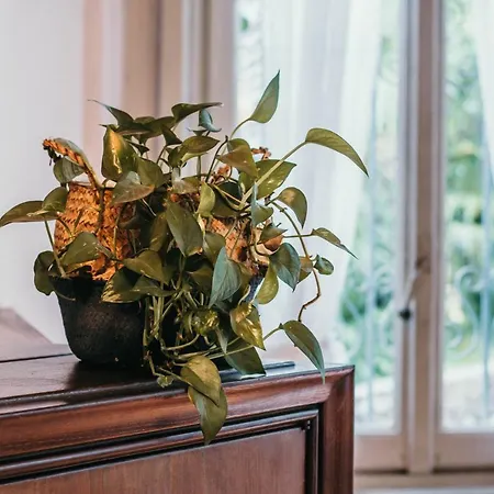 Appartamento Library - Villa Candela Apartment