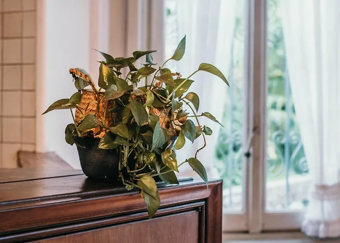 Library - Candela Apartman