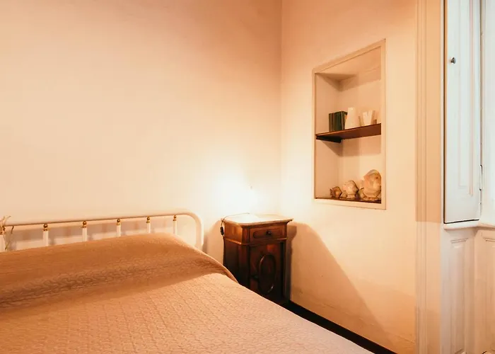 Library - Candela ستريزا