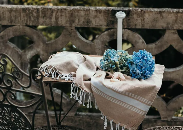 Library - Candela شقة *