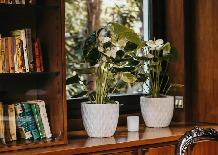 Apartman Library - Candela *