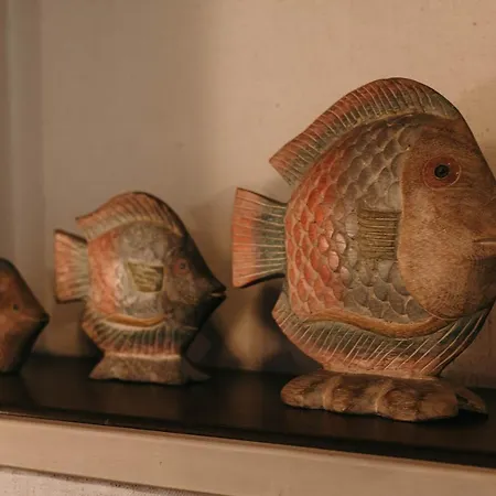 Apartment Library - Candela