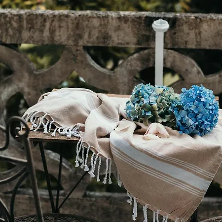 Library - Candela Apartment *